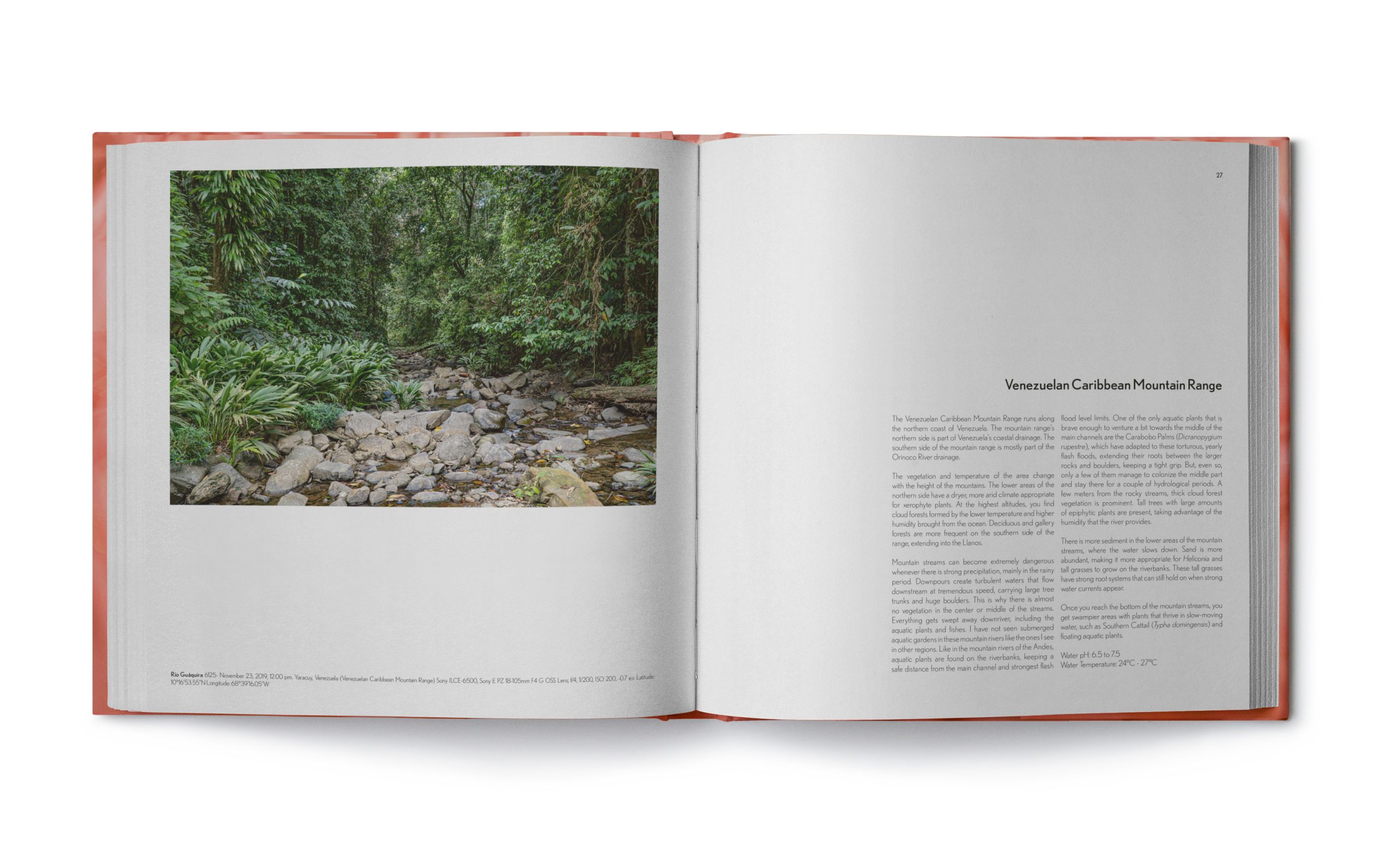 Flora of the Orinoco - RIVER EXPLORER - UNDERWATER PHOTOGRAPHER
